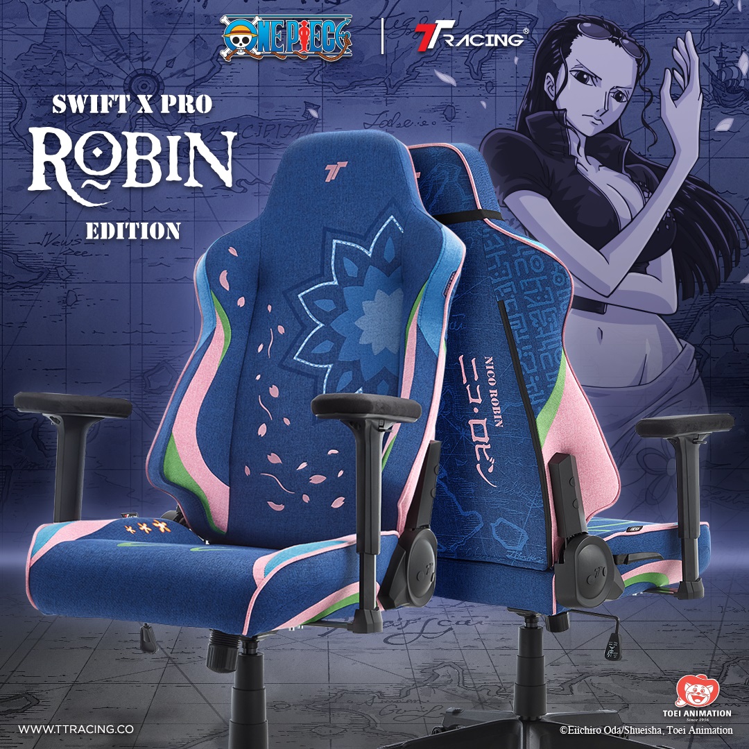 TTRacing Swift X Pro One Piece Robin Edition Air Threads Fabric Gaming ...