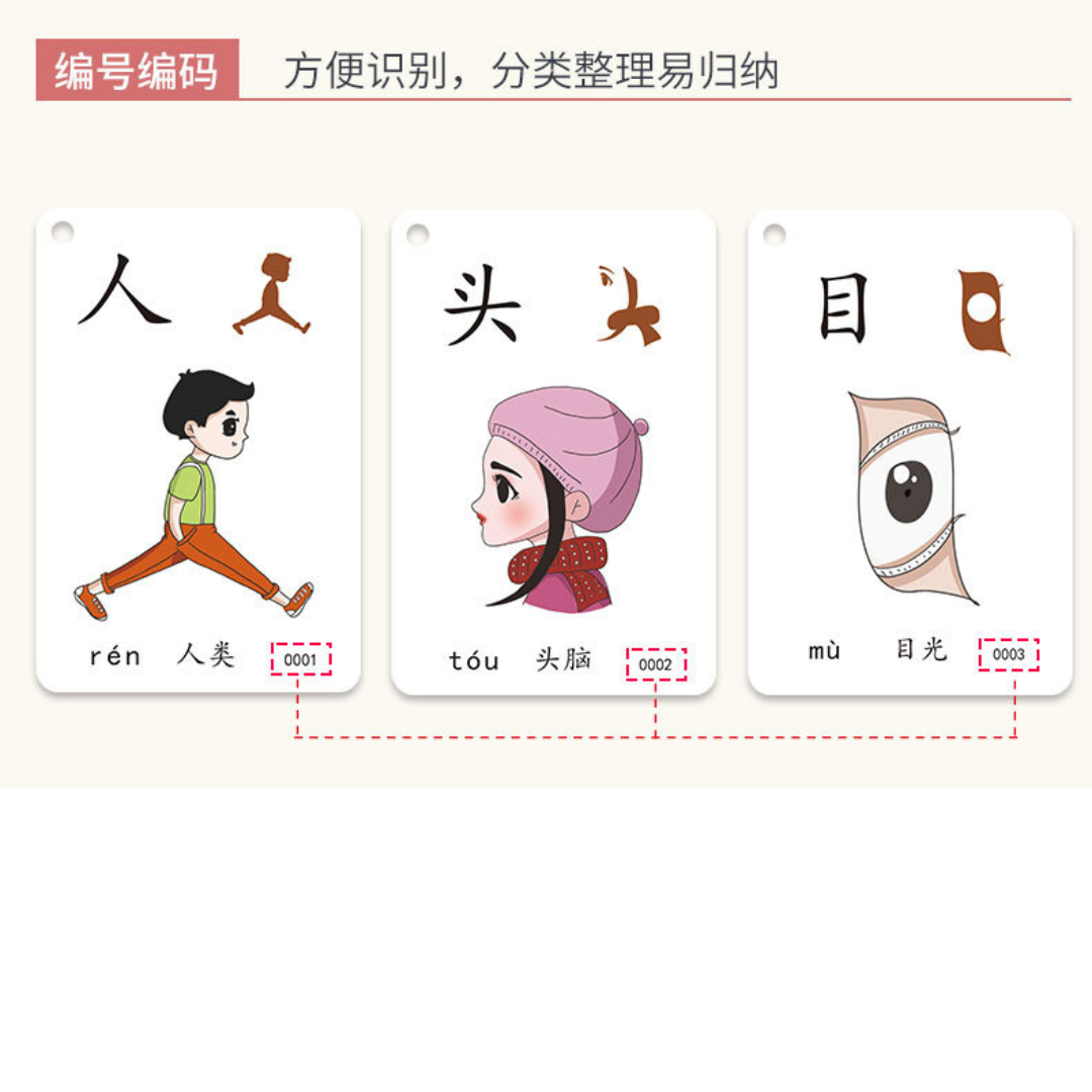 (Local Stock)500 Pcs Chinese Learning Flash Cards PICTOGRAPHIC 识字卡片 ...