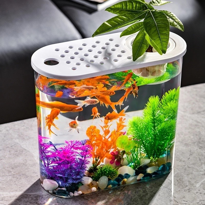 Fish Tank Desktop HD Transparent Ecological Living Room Desktop Mini ...