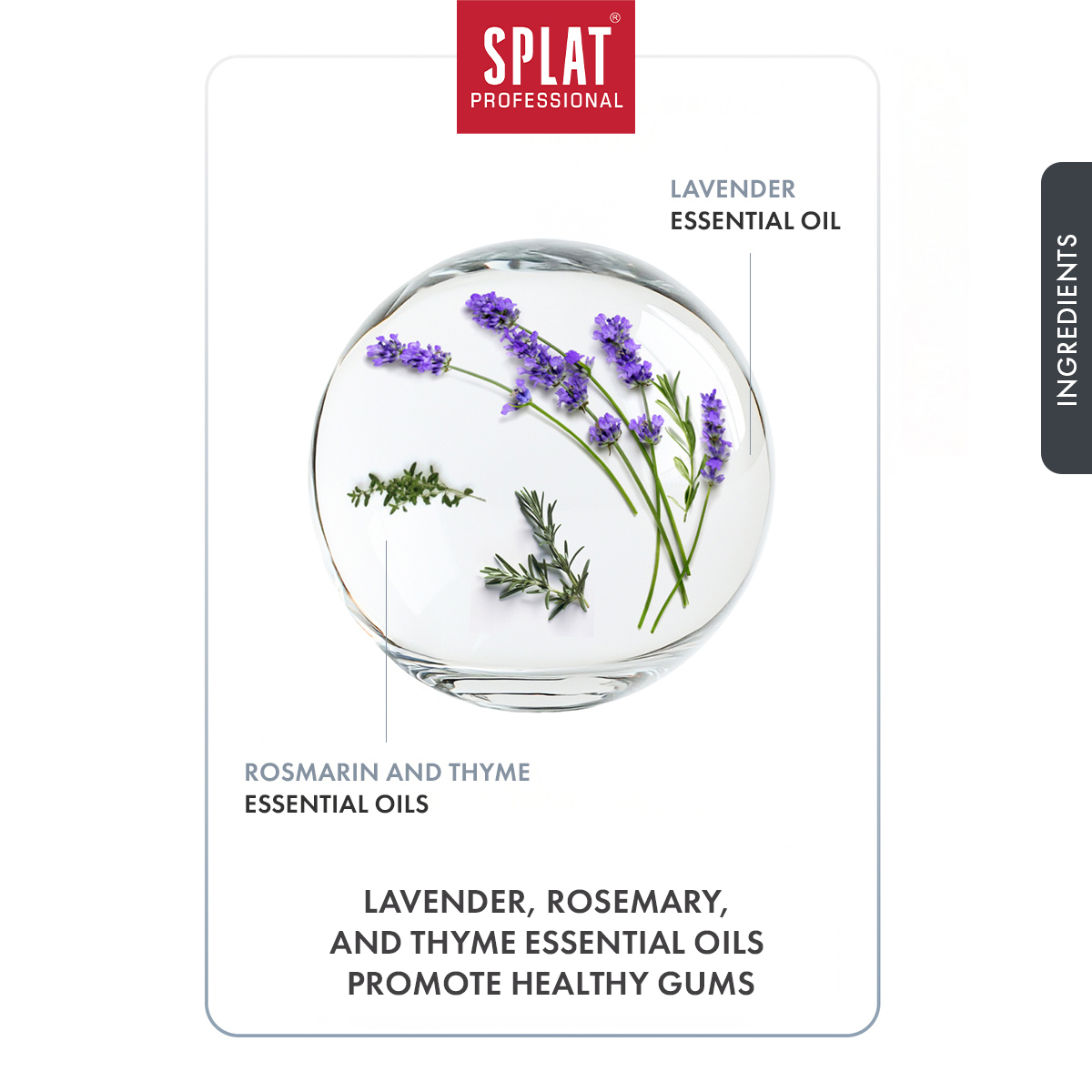 SPLAT Professional Series Lavendersept Toothpaste,For sensitive teeth ...