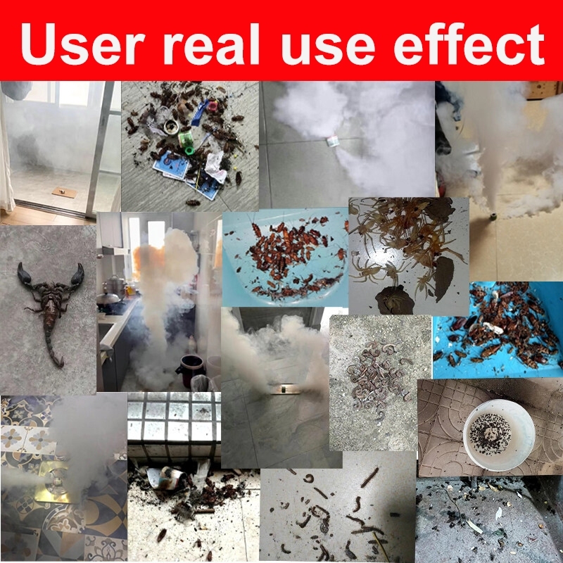 Powerful insect killing pest killer lizard repellent Lizard killer ...