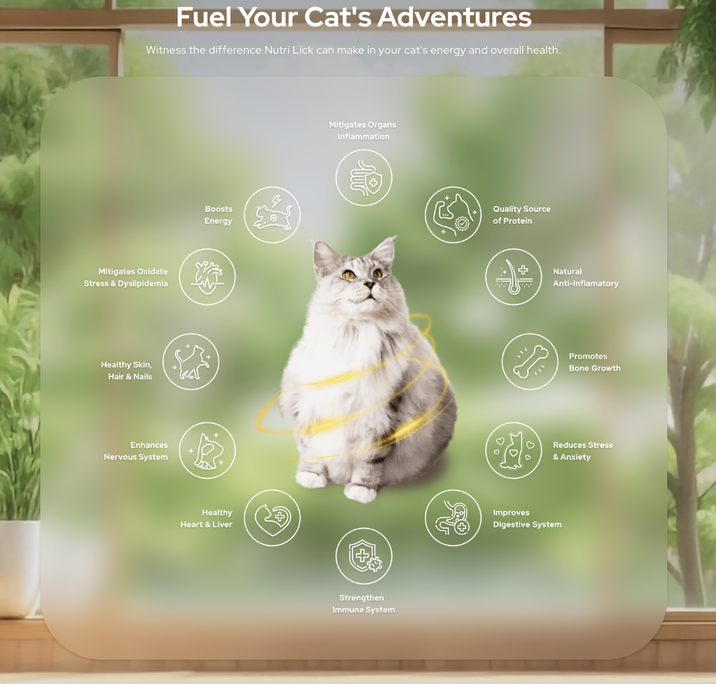 Nutri Lick Can Candy Cat Supplement Multivitamin [Chicken/ Beef/ Salmon