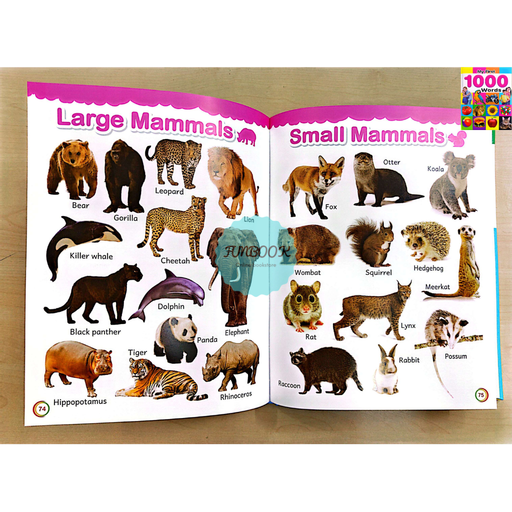 [FUNBOOK] My ultimate dictionary board book Real Pictures / My First ...