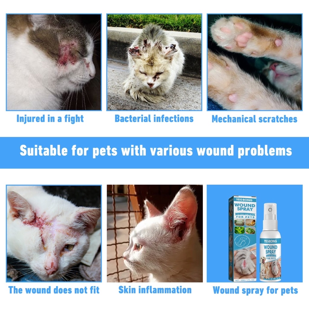 Pet Wound Spray Dog and Cat Skin Rash Moss Scratch Wound Treatment Care ...