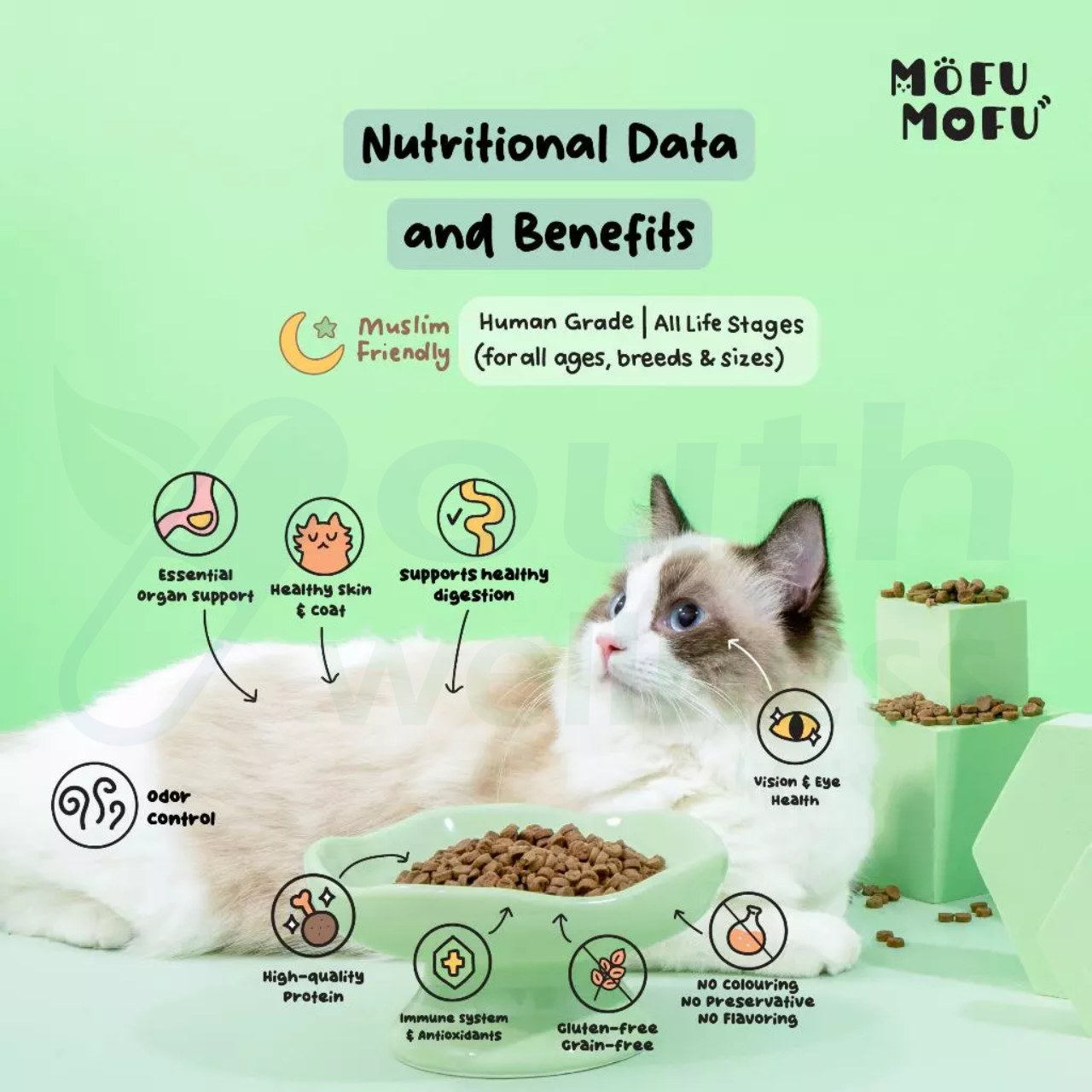 MofuMofu Slow-Baked Kibbles Premium Cat Food Fresh Chicken & Superfoods ...