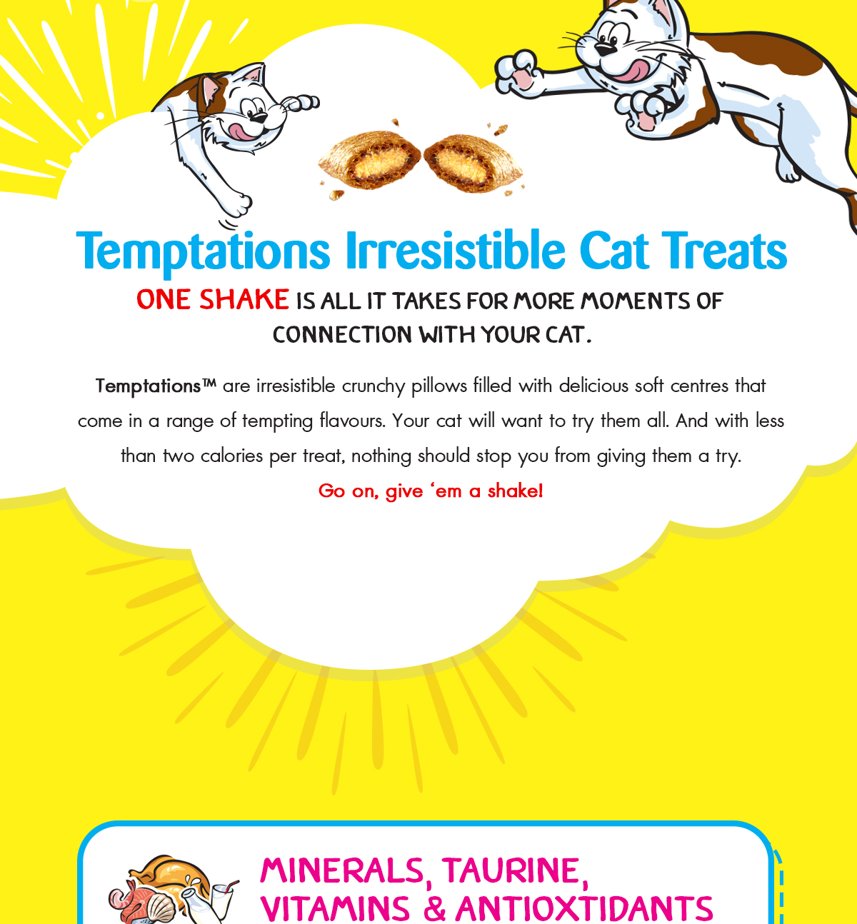 TEMPTATIONS Cat Treats Pockets & Mix Ups - All Flavors 75g (12 Packs ...
