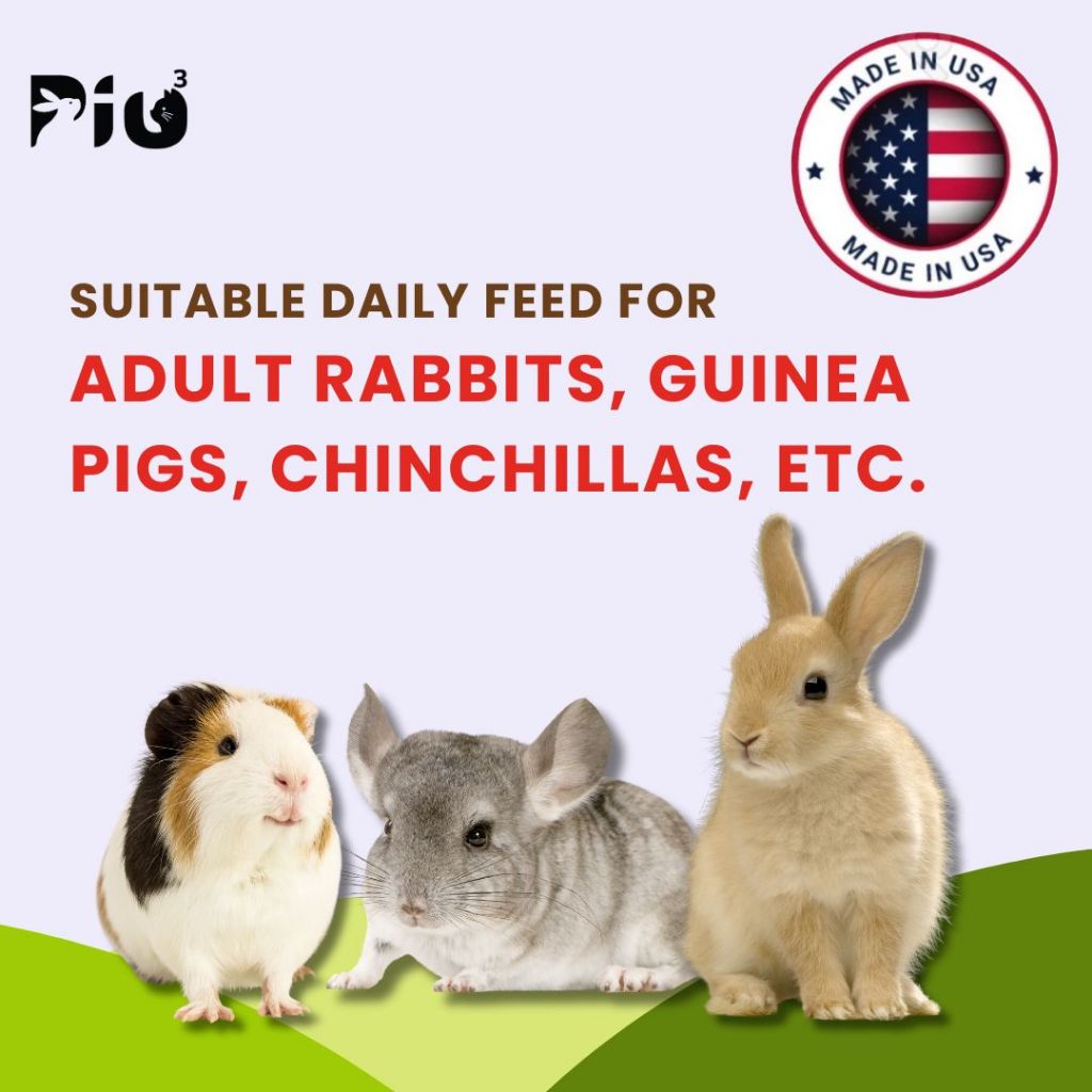 Premium Crispy Alfalfa Hay - Imported Alfalfa for Rabbit, Guinea Pig ...