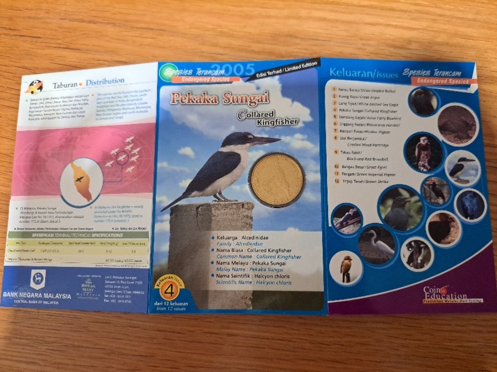 No.4 Endangered Species Collared Kingfisher Spesies Terancam Pekaka ...