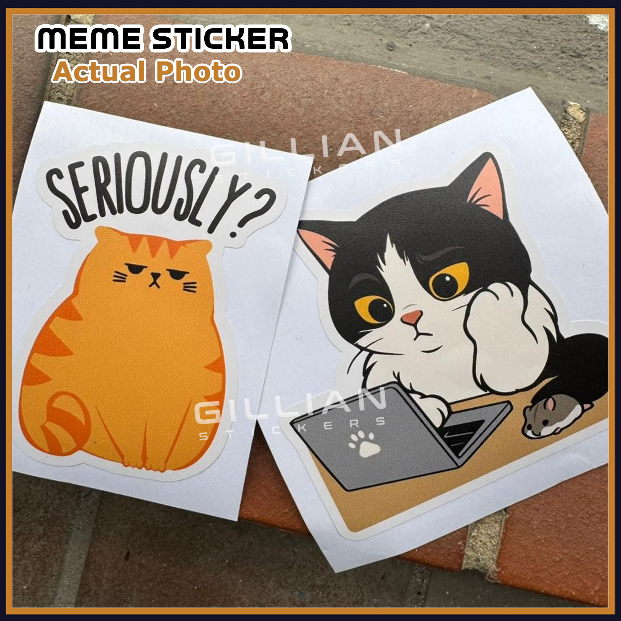 Cat Meme Sticker Waterproof Cute Funny Design for Laptop Bottle Car ...