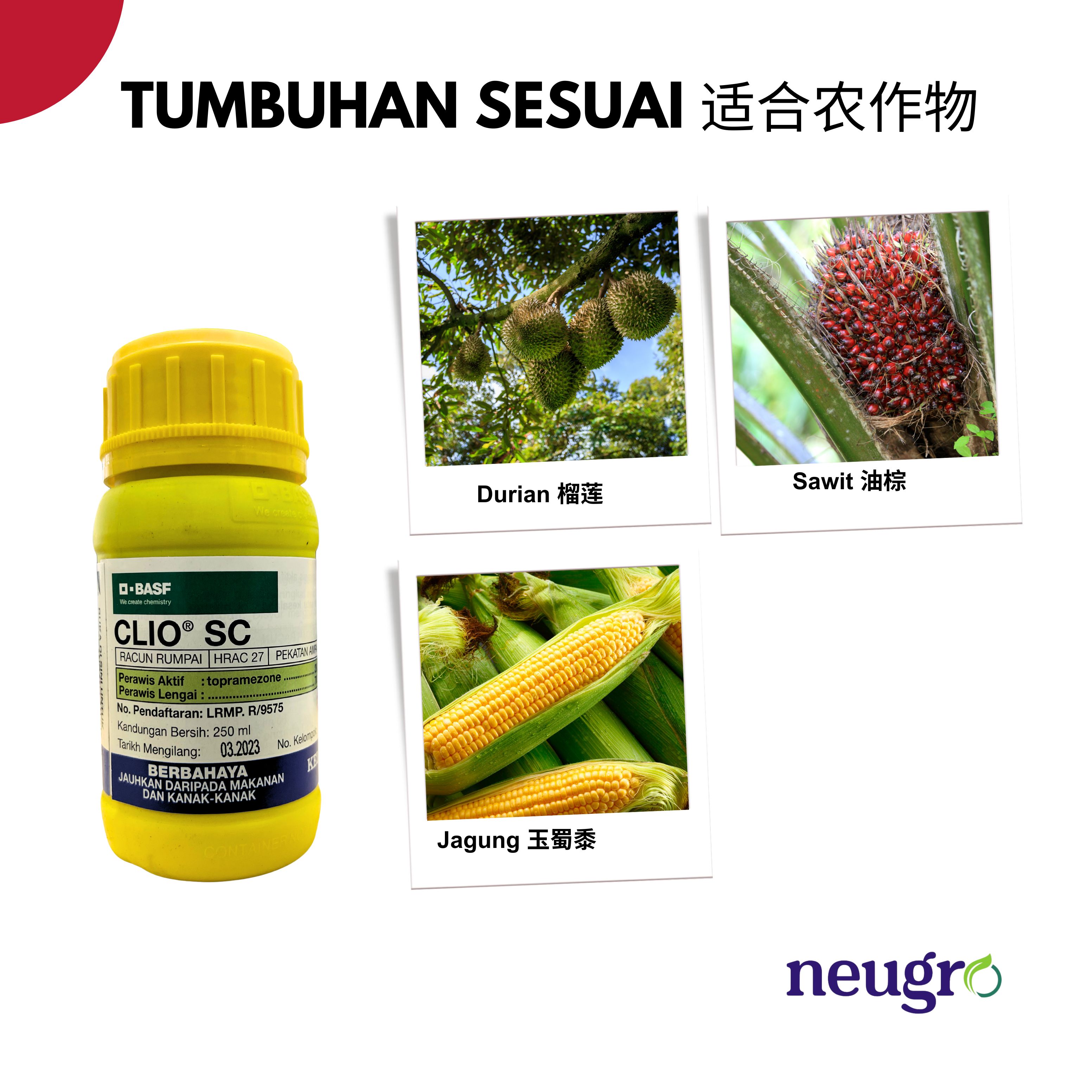 BASF CLIO SC 250ML Topramezone 29.7% Racun Rumpai Sambau Jagung Nanas ...