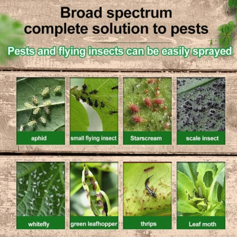No pests for 10 years Plant Insect Resistant Tablets 200ps | Gardening ...