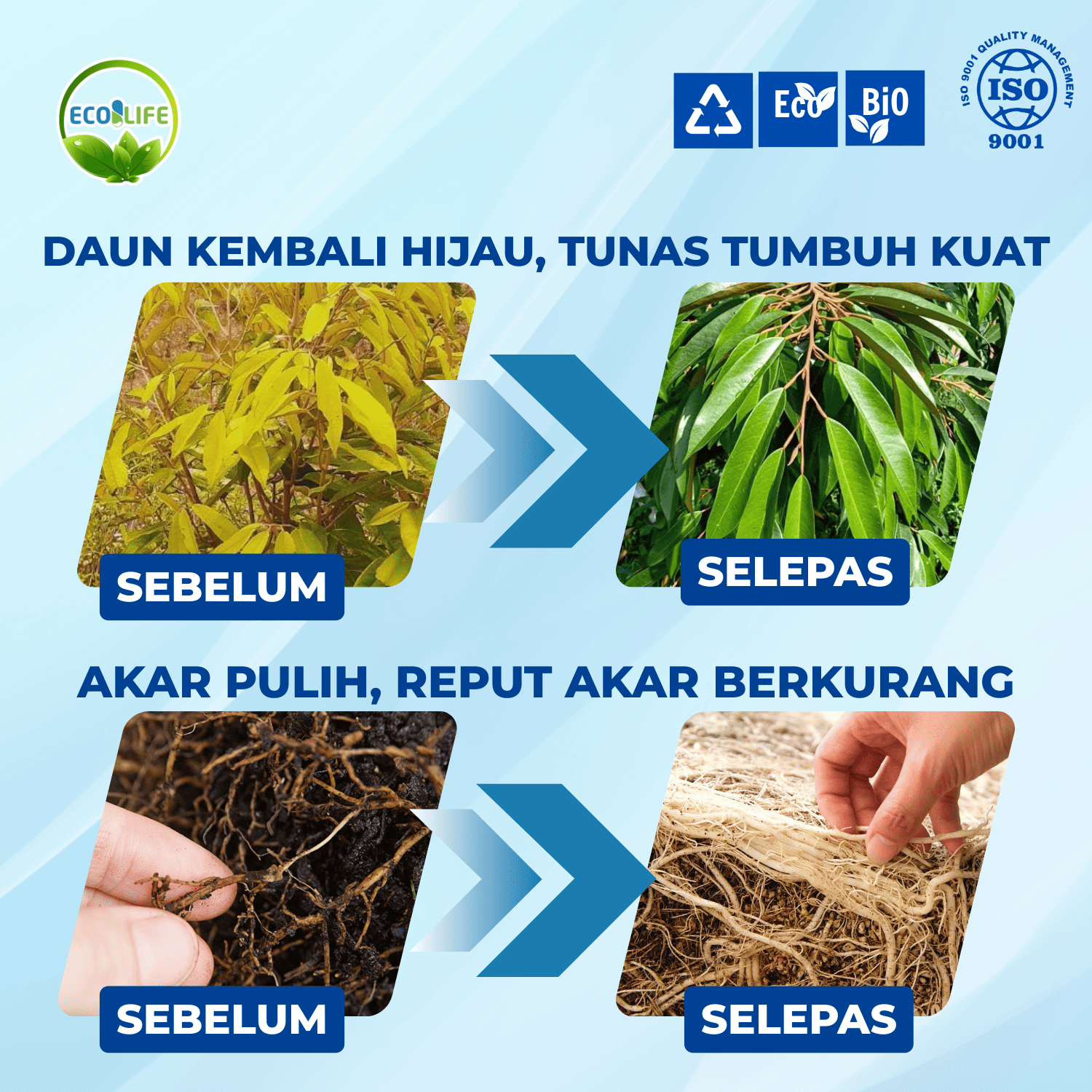 TRICHODERMA Cecair – Memulihkan tanah, mengawal kulat serta penyakit ...