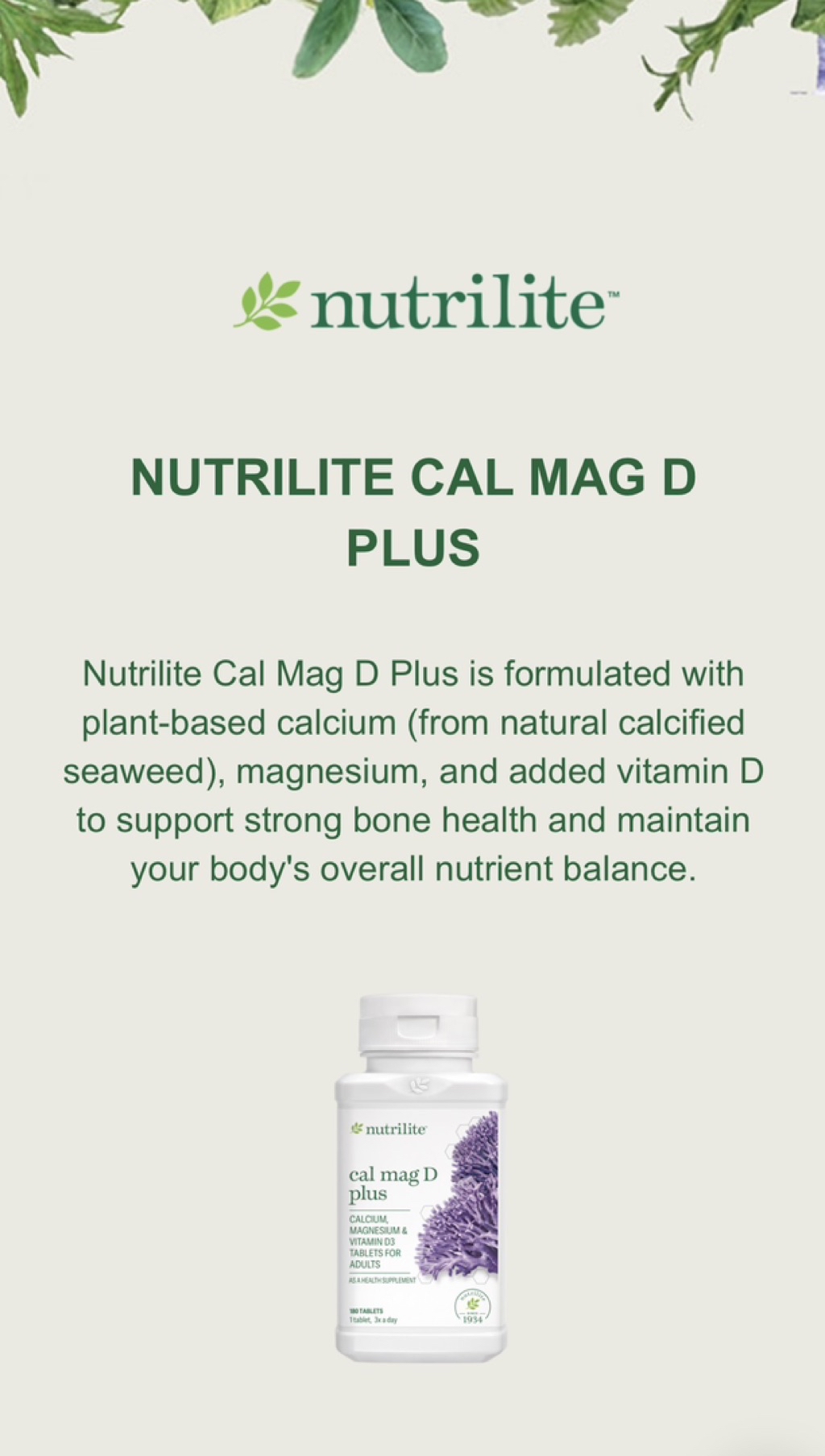 Nutrilite Cal Mag D Plus | Calcium Magnesium Vitamin D3 | Supplement ...