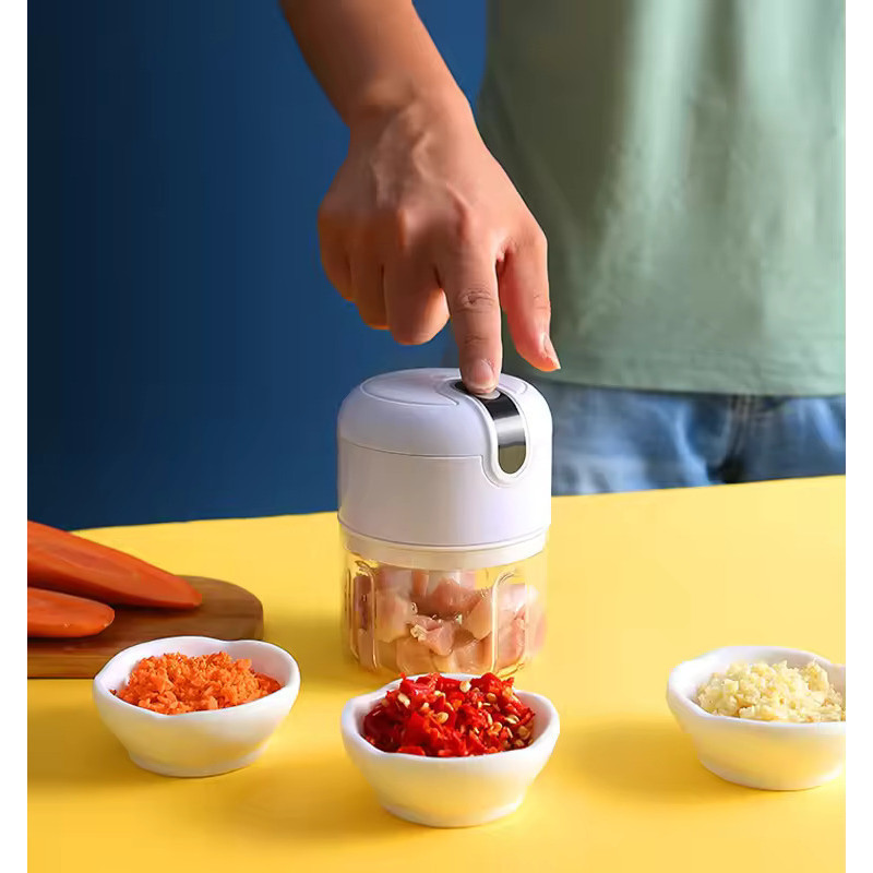 MINI FOOD BLENDER Garlic Chopper Electric Food Chopper Portable Food ...