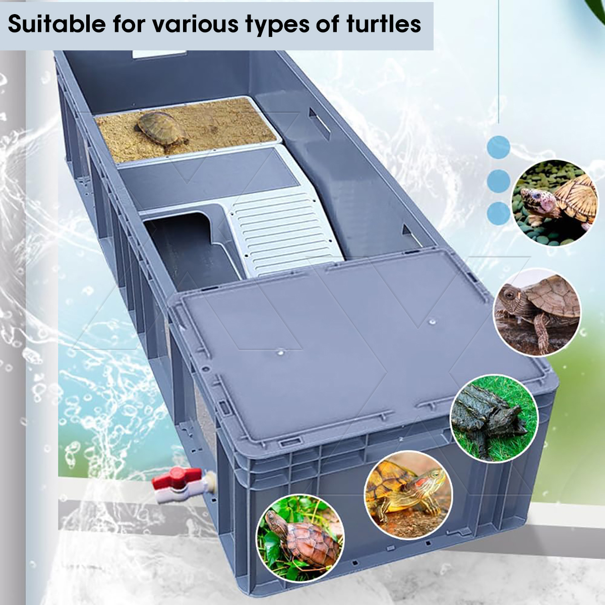 Extra Large Turtle Tank Dedicated Tank With Drainage Water Land Terrace ...