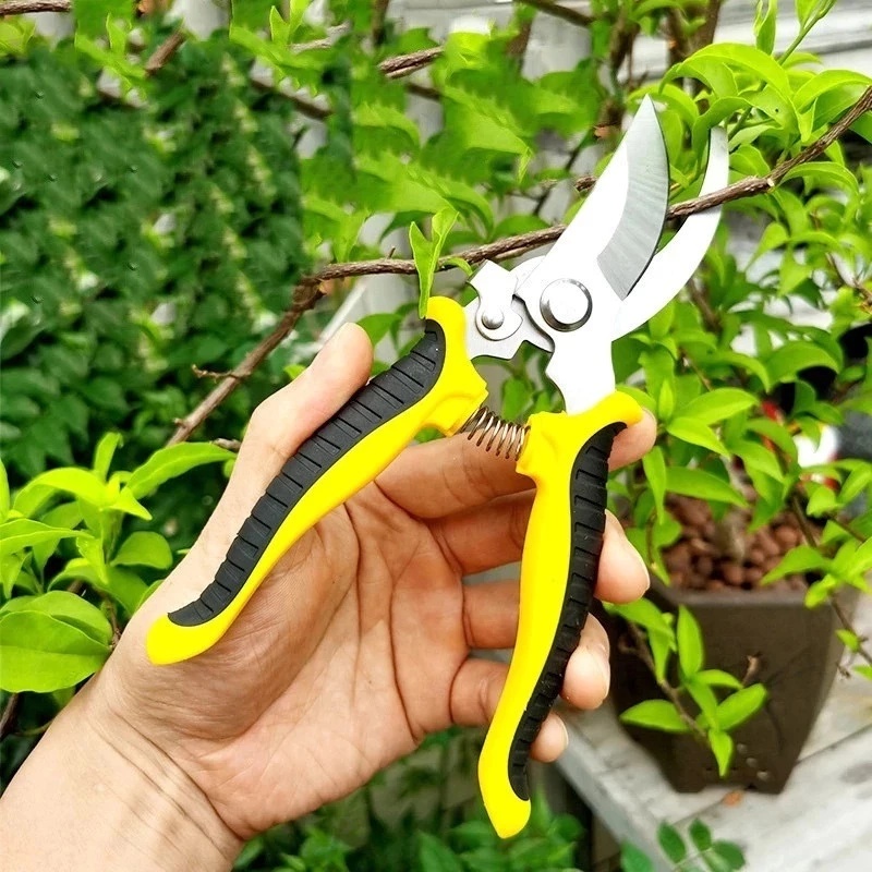 SK5 Pruning Shear Branches Cutter Garden Plant Trimmer Tools Gardening ...
