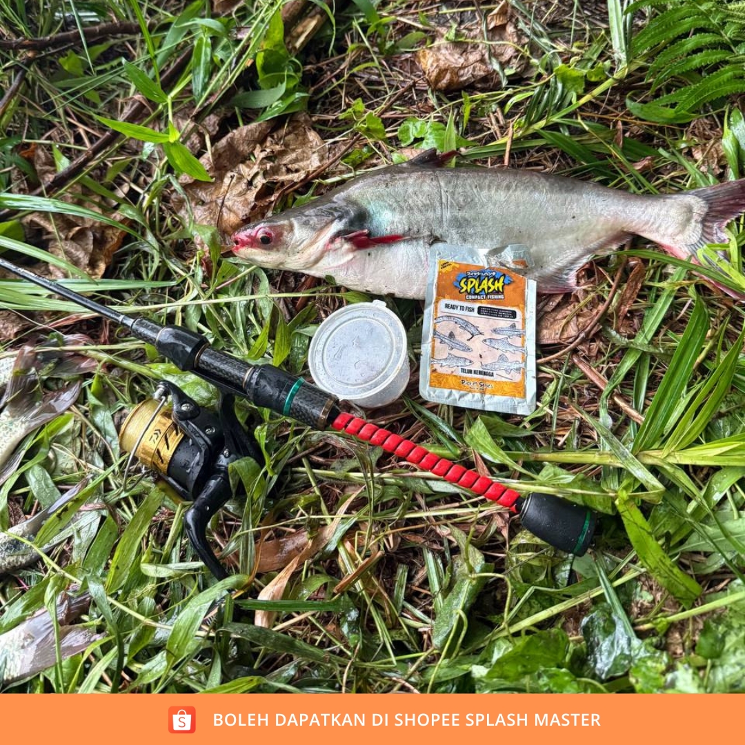 [HALAL] UMPAN MEMANCING KHAS MENGGANTIKAN CACING CENGKERIK UDANG TELUR ...