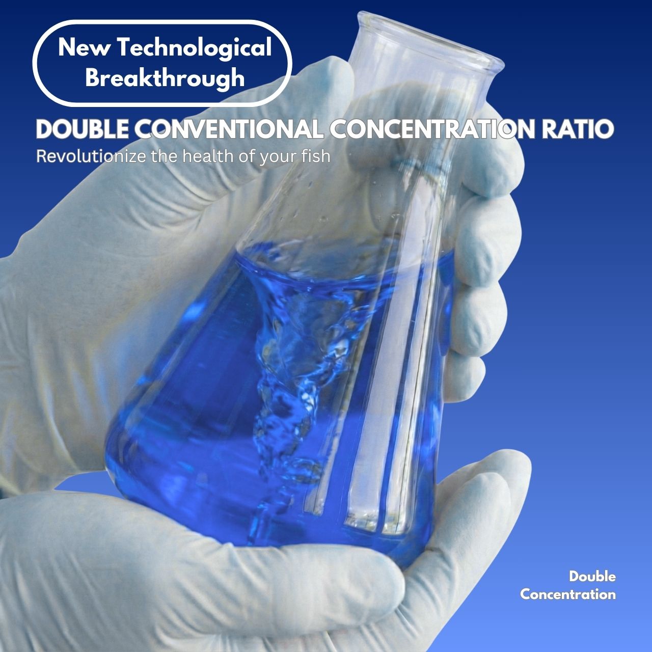 Methylene Blue Concentrated Solution for Fish | Anti Fungus Parasite ...