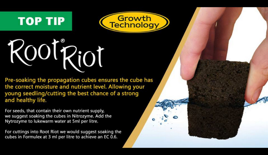 Growth Technology Root Riot Propagation Cube (24 cubes) (Propagation ...