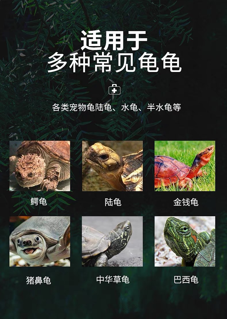 turtle-fungus-supplement-ubat-kura-kura-eye-treatment-shell