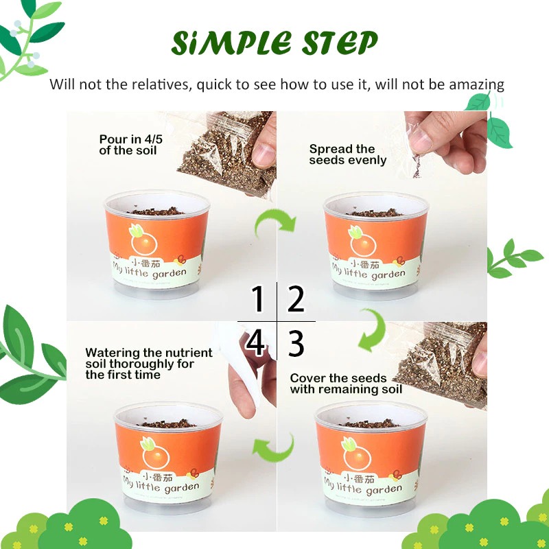 (hailey)迷你盆栽 Mini Plant Potted Kids DIY Plant Kids Planting Green Plant ...