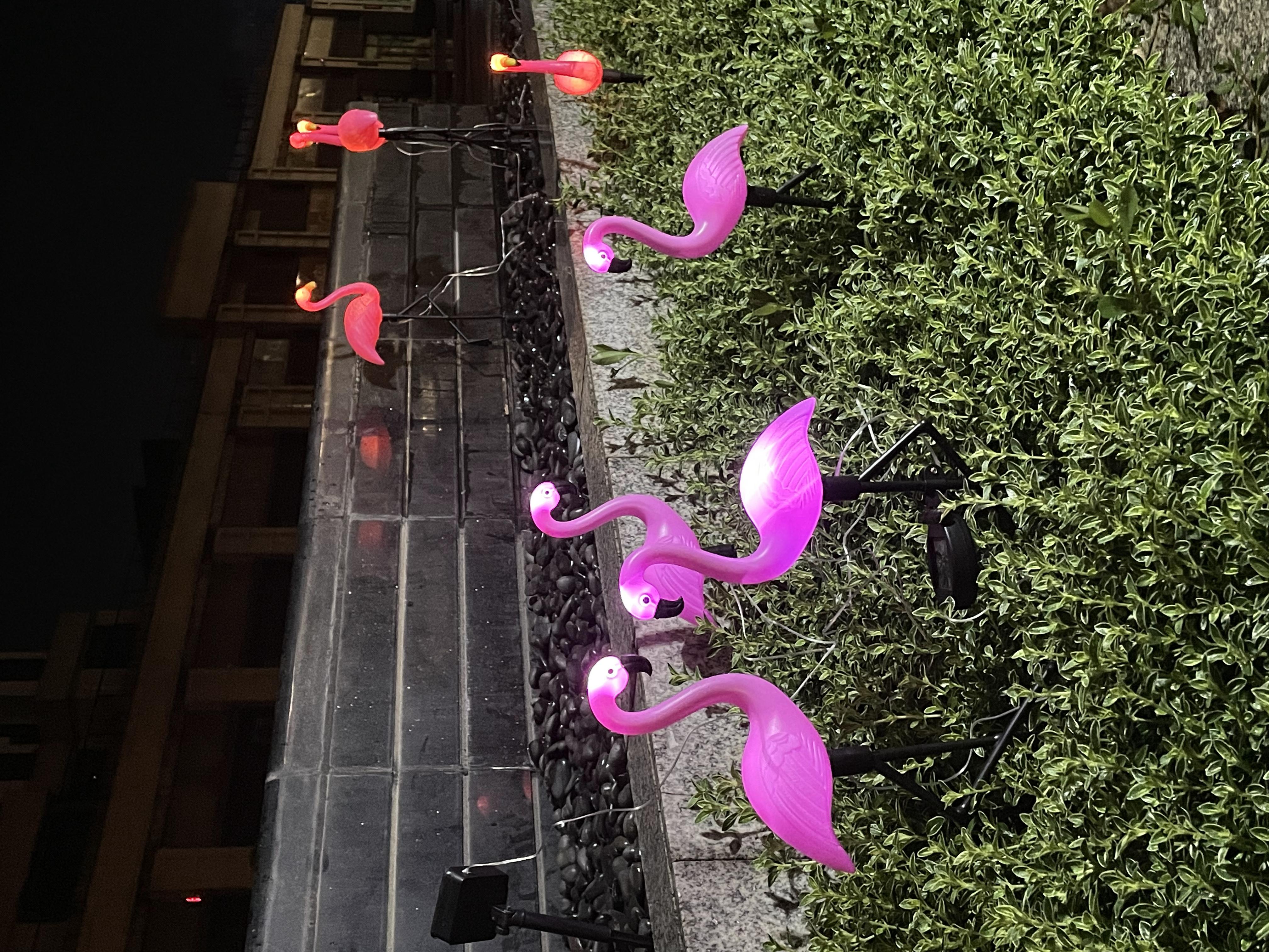Magical Flamingo Solar Light | Auto-On/Off LED Garden Decor, Waterproof ...