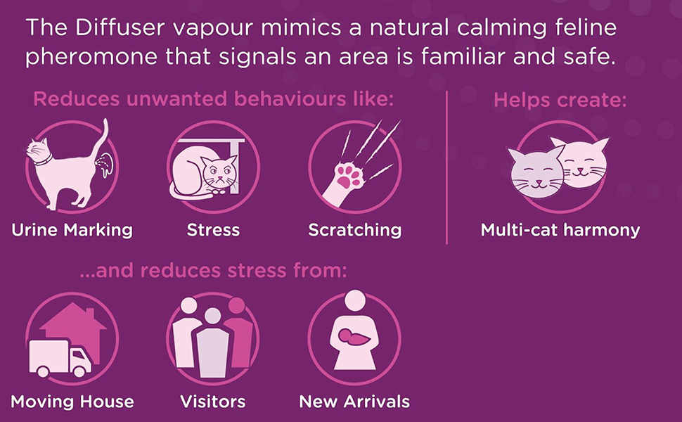 Photo inspiration: Visual Reference: Comfort Zone Diffuser Starter Kit For Cat Stress And Behaviour