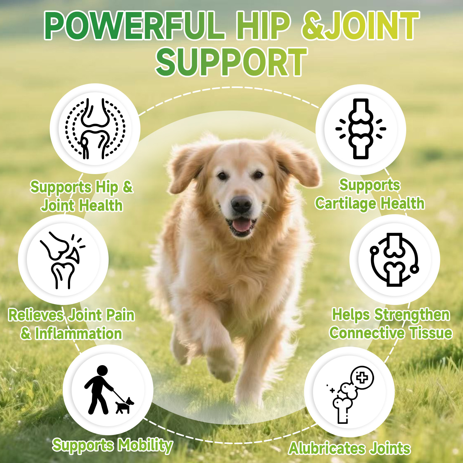 Photo inspiration: Gallery Detail: Popoo Hip Joint Support For Dogs Natural Joint Supplement Boosts