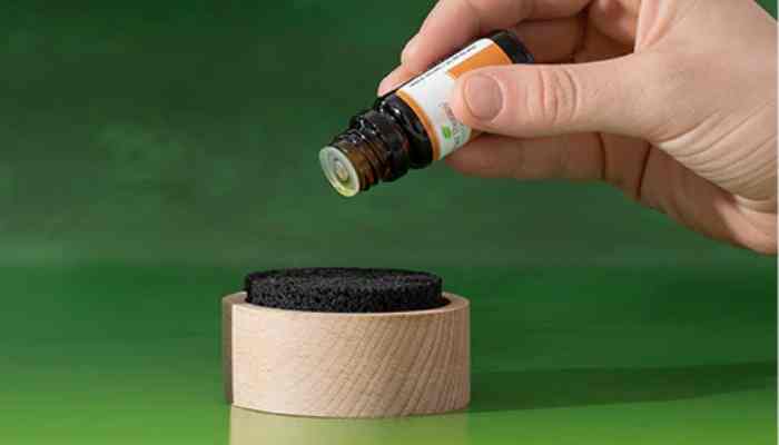 PLANT THERAPY Gingerbread House Passive Diffuser | Shopee Malaysia