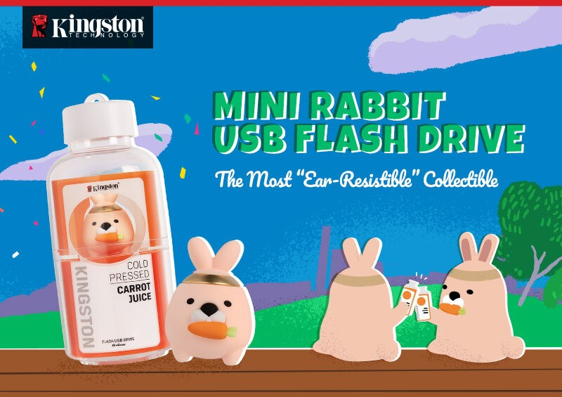 Kingston Limited Edition DTCNY23 Mini Rabbit USB Flash Drive (64GB ...