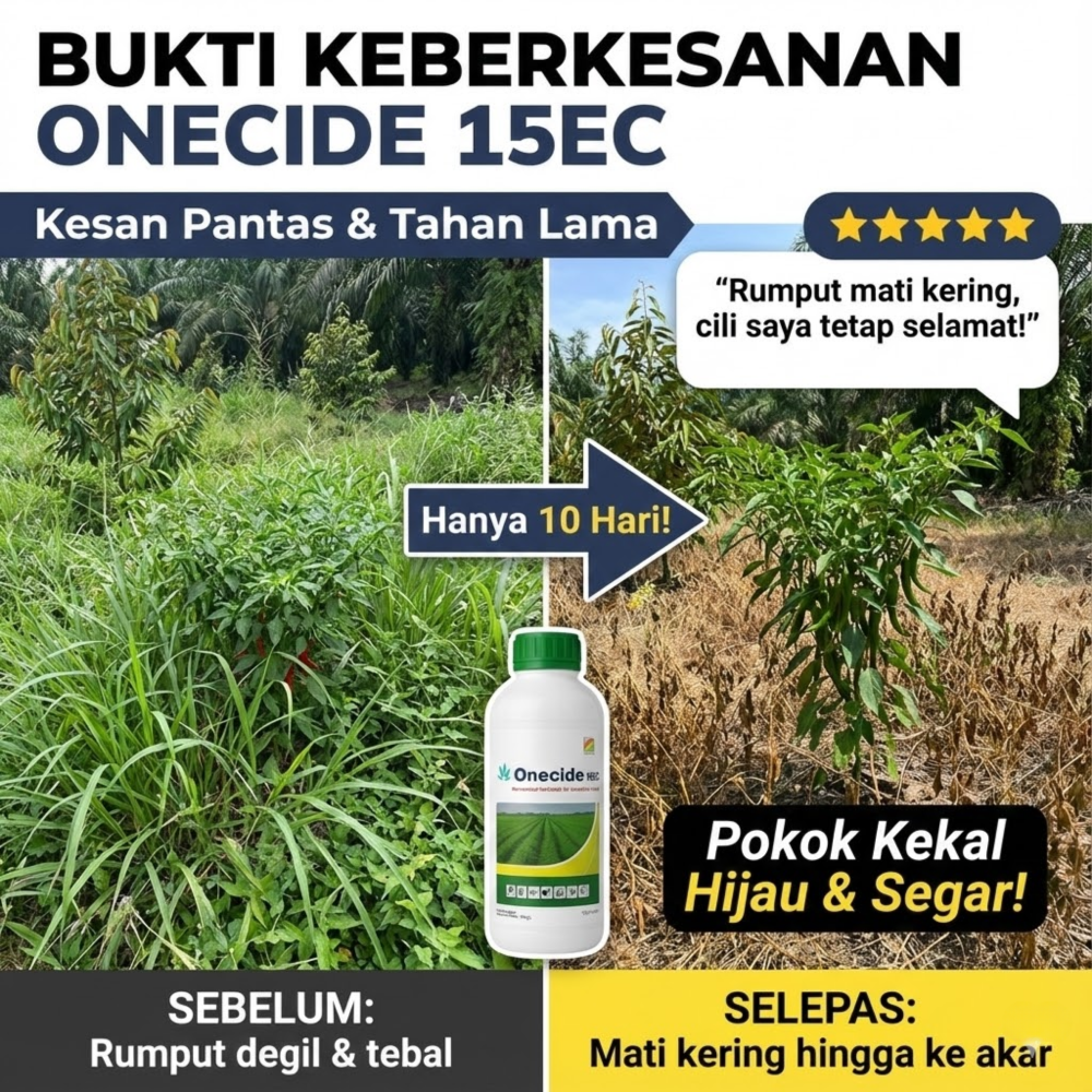 ONECIDE 15EC Racun Rumpai Daun Tirus Lalang Sesuai Untuk Tanaman Sayur ...