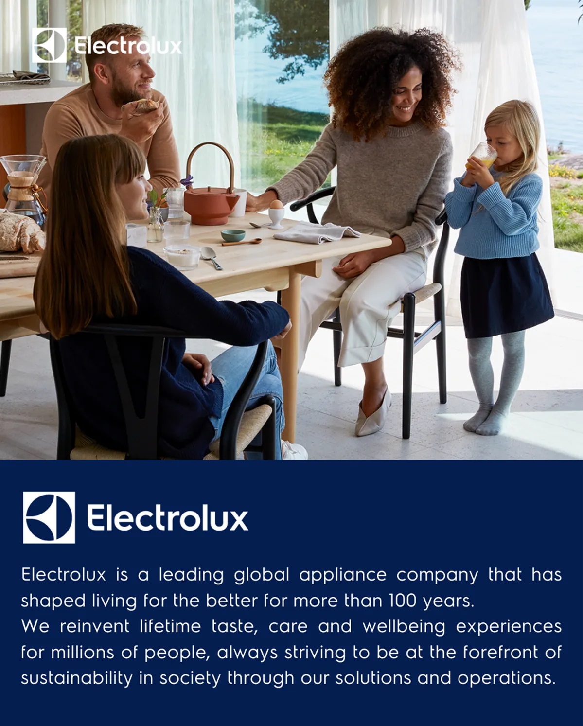 Electrolux Filter Kit for Ease C4 Vacuum Cleaners (F156) | Shopee Malaysia