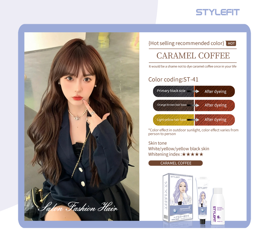 Original Stylefit Hair Dye Professional (Kit Included) | Shopee Malaysia