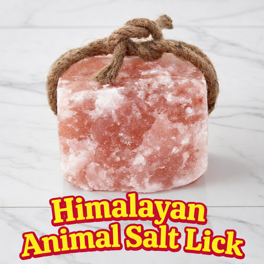 Himalayan Animal Salt Lick 2kg 3kg 4kg | Ext Large Mineral Rock for ...