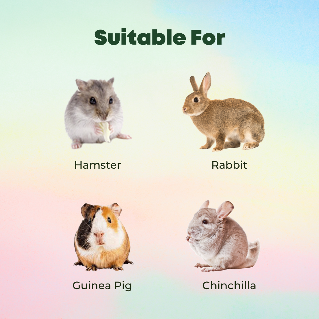 Photo inspiration: Fresh Look at Versele Laga Nature Food 700G Hamster Food Rabbit Guinea Pig