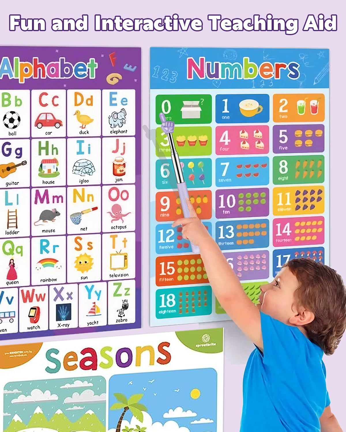 Retractable Teacher Pointer Sticks, Student Finger Pointing Sticks For ...