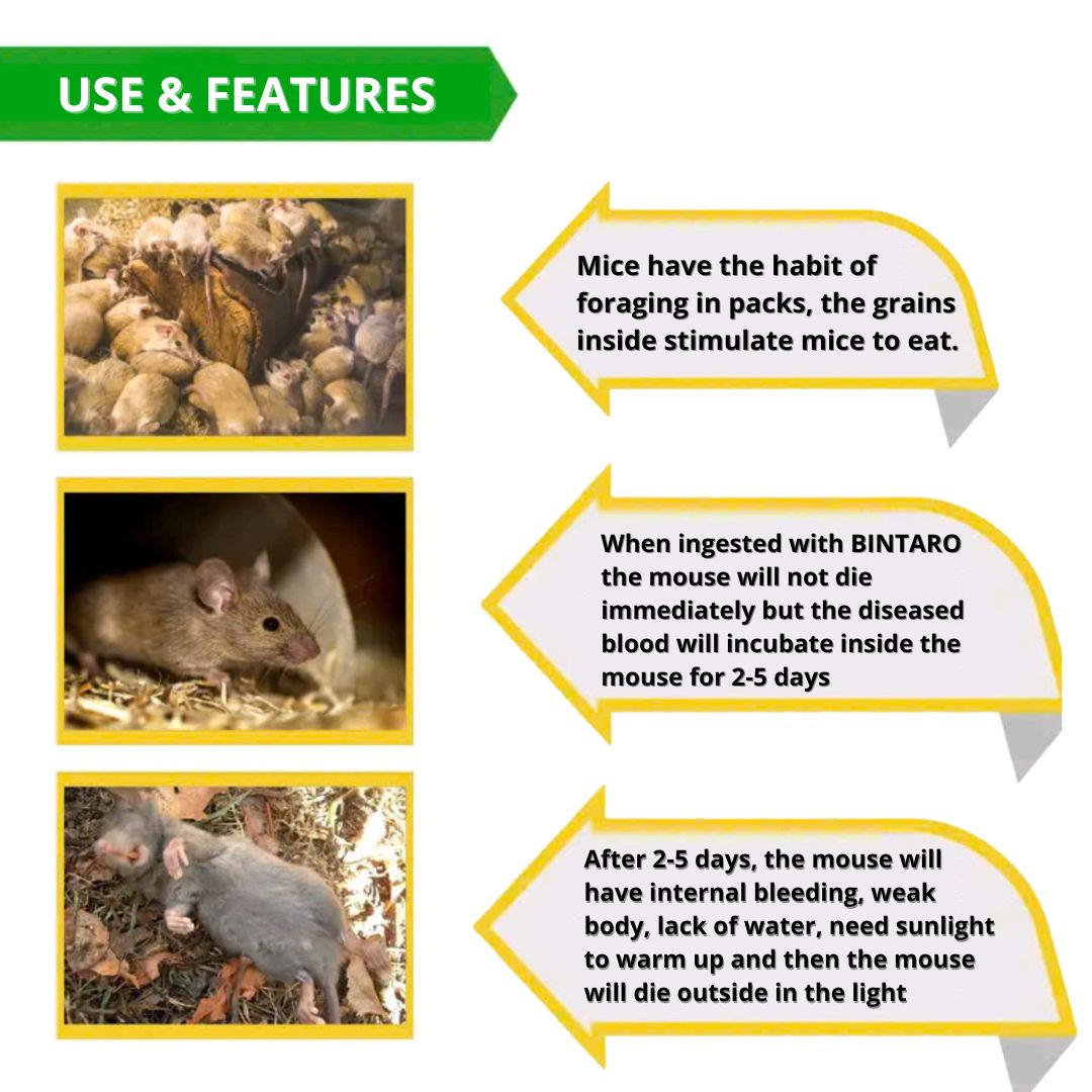 Rat Killer Poison Ubat Tikus Bintaro 0.05% Rice Grain Rodent Bait 50g ...