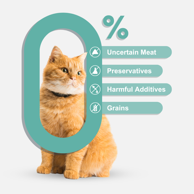 RAMBOO Chicken Cube Premium Freeze-Dried Pet Food / Pet Booster for ...
