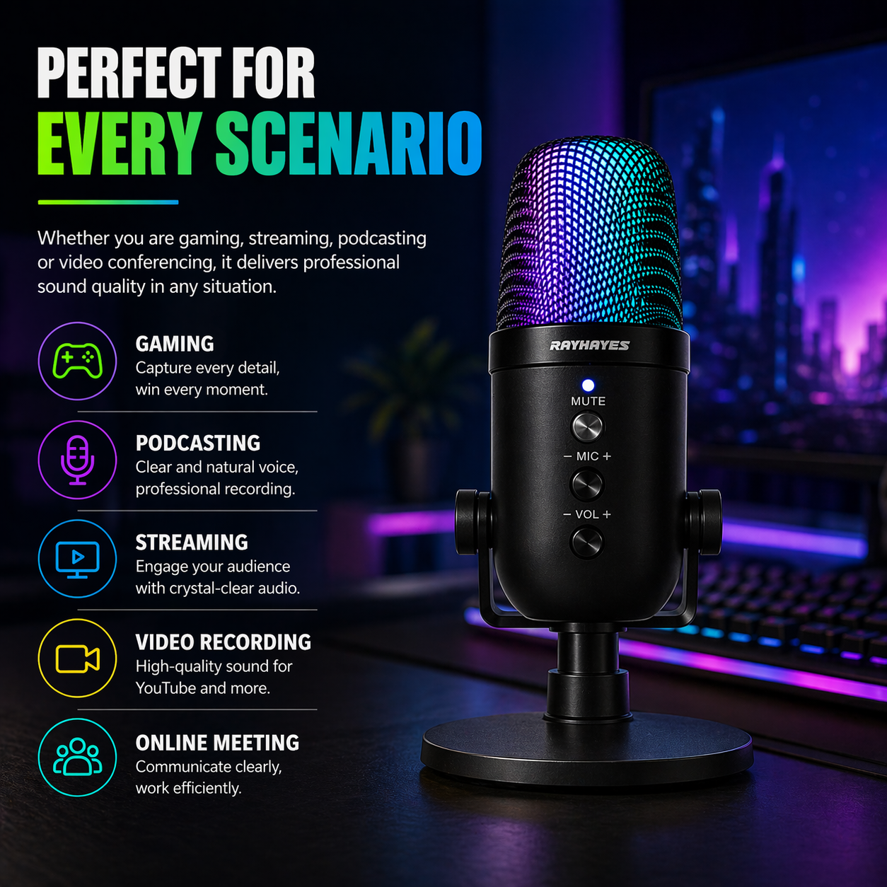 RAYHAYES USB Microphone Professional Recording Dubbing Condenser PC ...