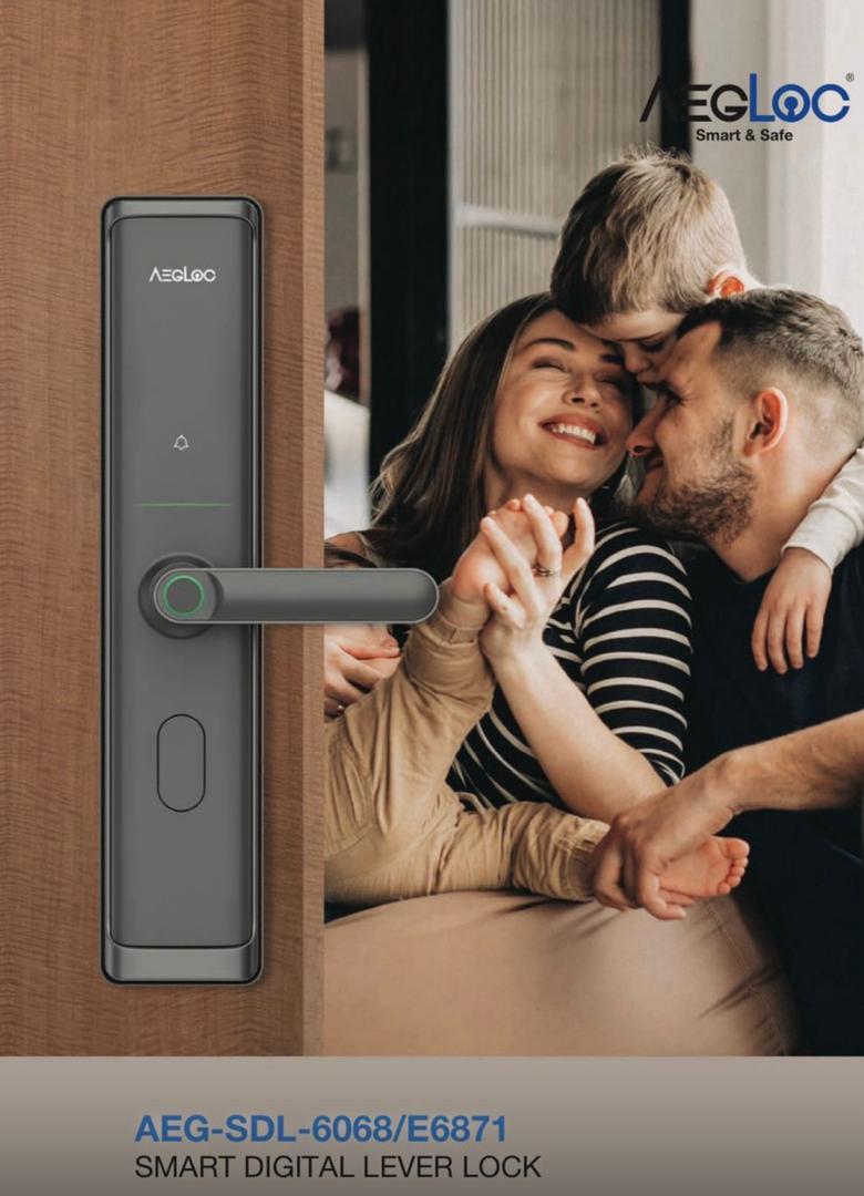 AEGLOC Smart Lever Mortise Lock Fingerprint, PIN code, RFID card ...