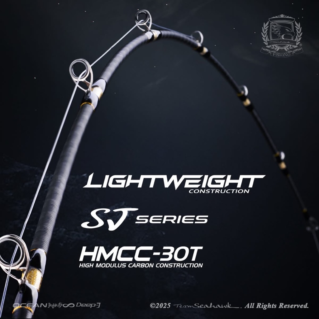 Team Seahawk Ocean Infinity Deep-J Overhead Jigging Rod BC Baitcast ...