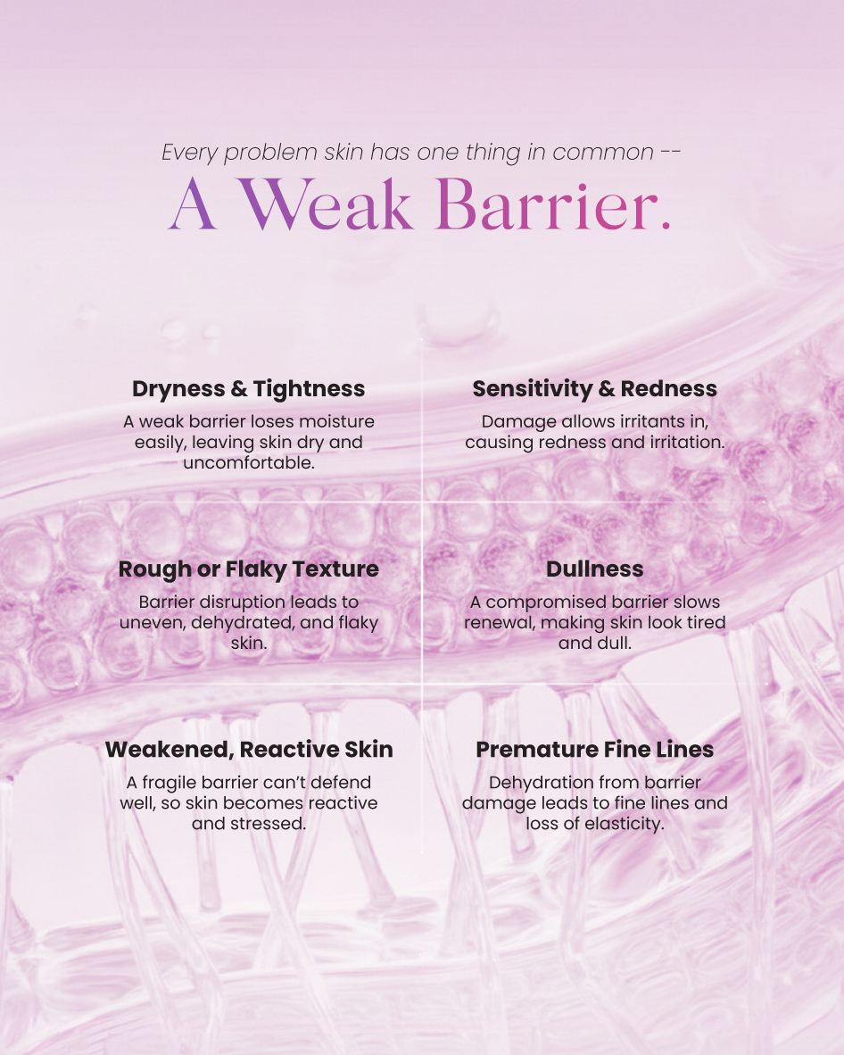 My 11134208 820lf Mh1dkx08p5hn2c