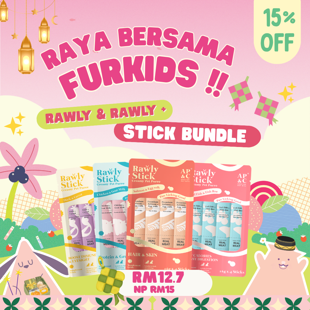 Raya Sale Reward Rawly Stick & Rawly Stick Plus Bundle 6 packets deal ...