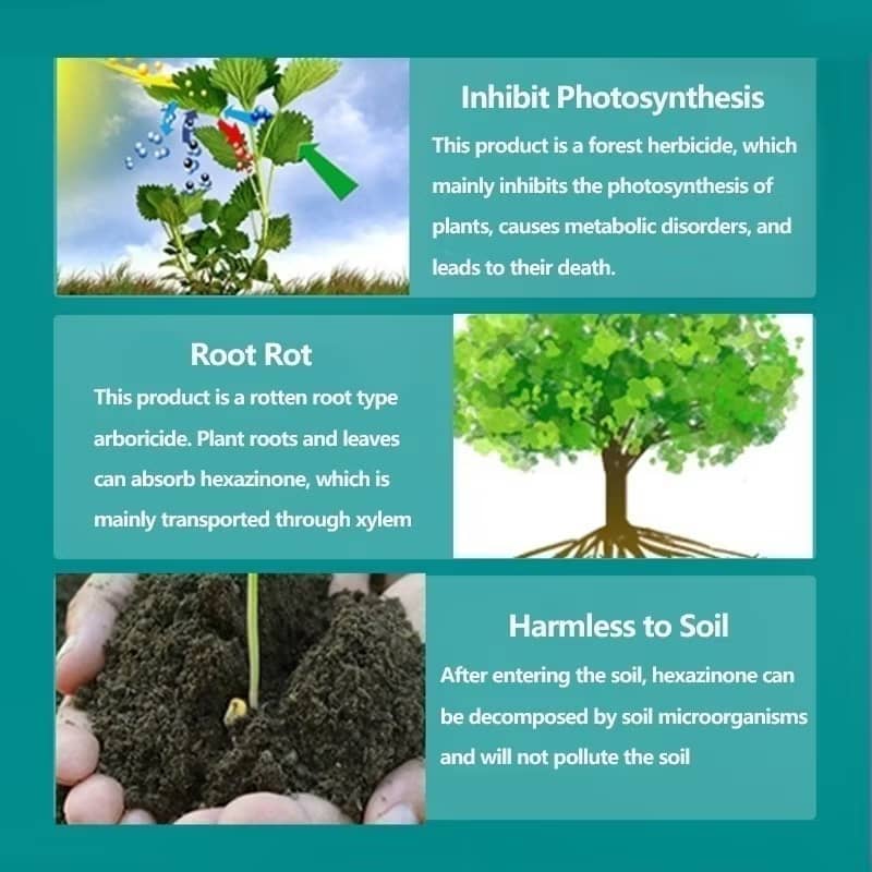 (wondeful) Root killing Tree killer 500g weed killer Hexazinone racun ...