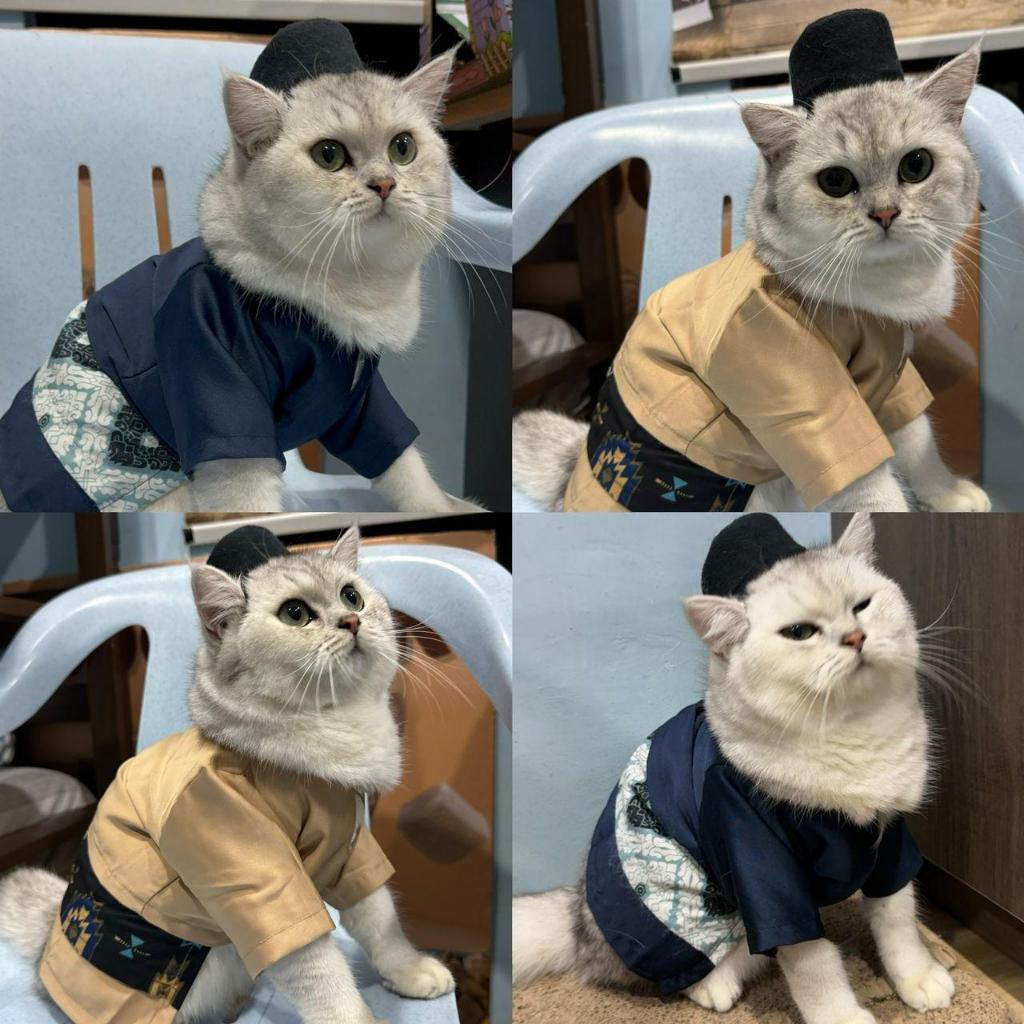 GUN PET Baju Raya Kucing Premium Songkok Kucing Cat cloth Makanan ...