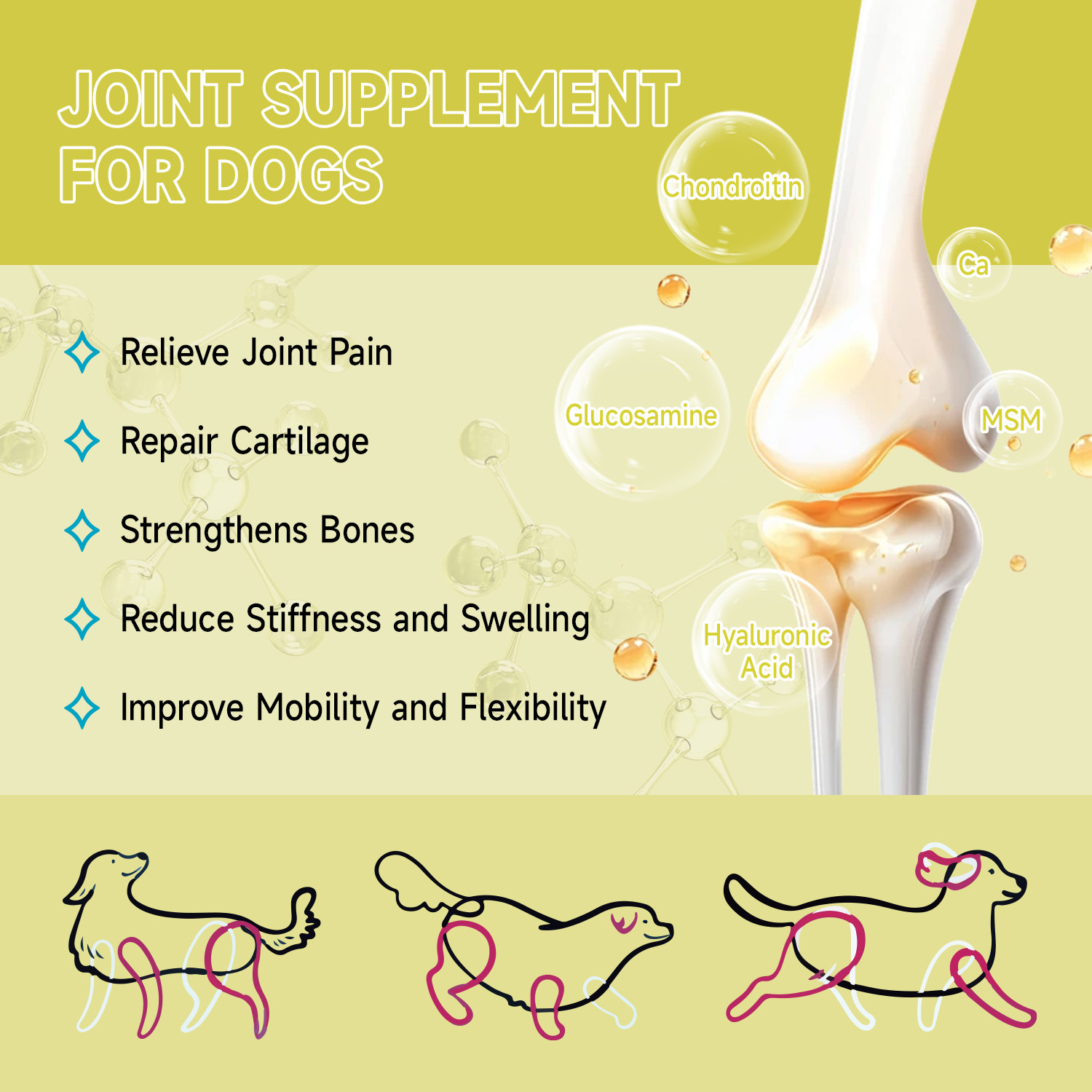 Popoo Multivitamin 22 in 1 for Dog Vitamin and Supplement Dogs Overall ...