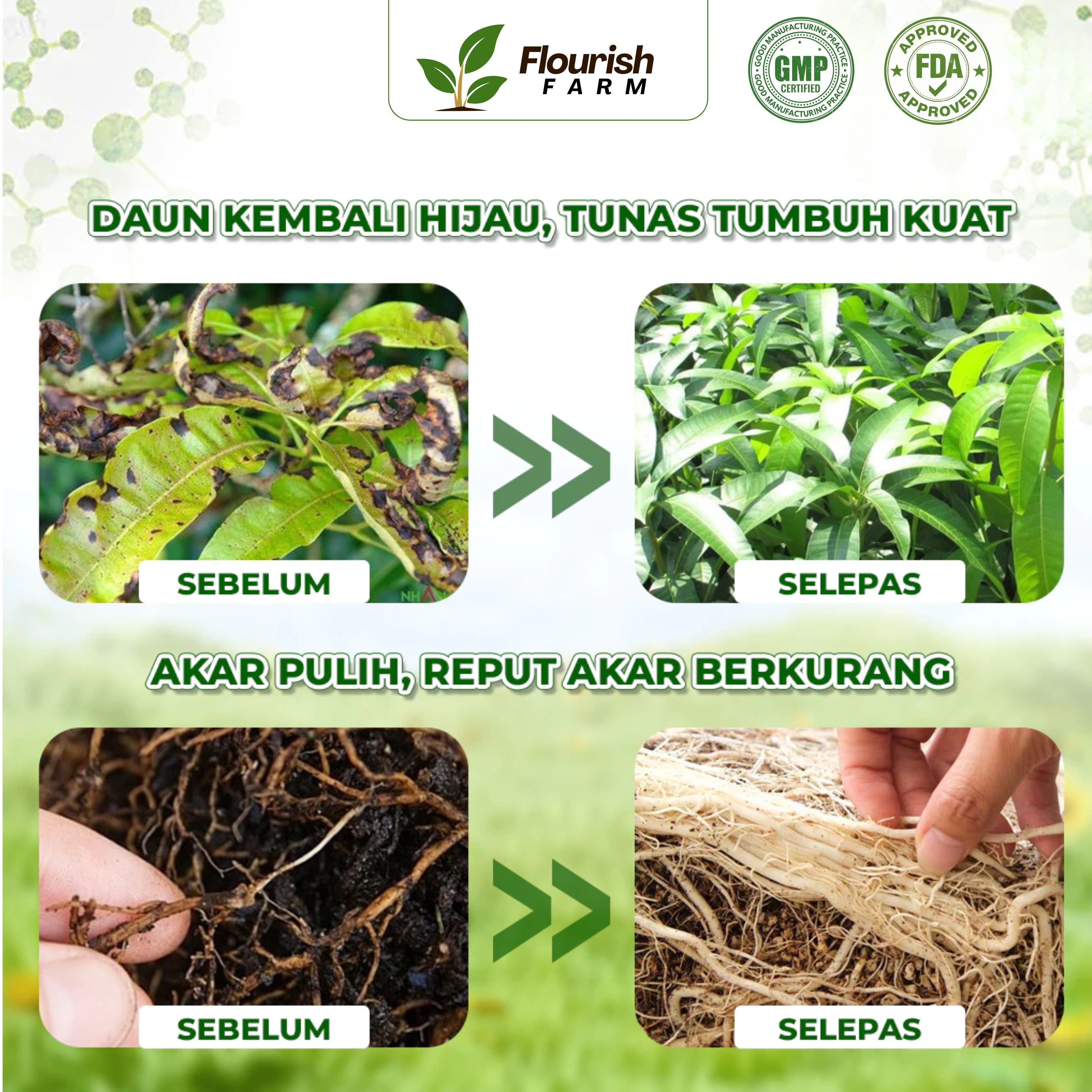 [FREE GIFT] Trichoderma Bacillus Organik - Racun Kulat Tanah ...
