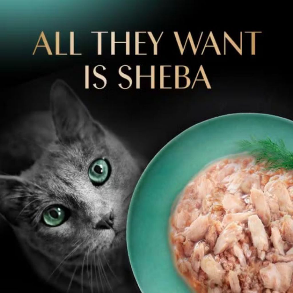 SHEBA /Sheba(1 Box 24 Pack) Cat Wet Food Pouch Premium ( Kitten / Adult ...