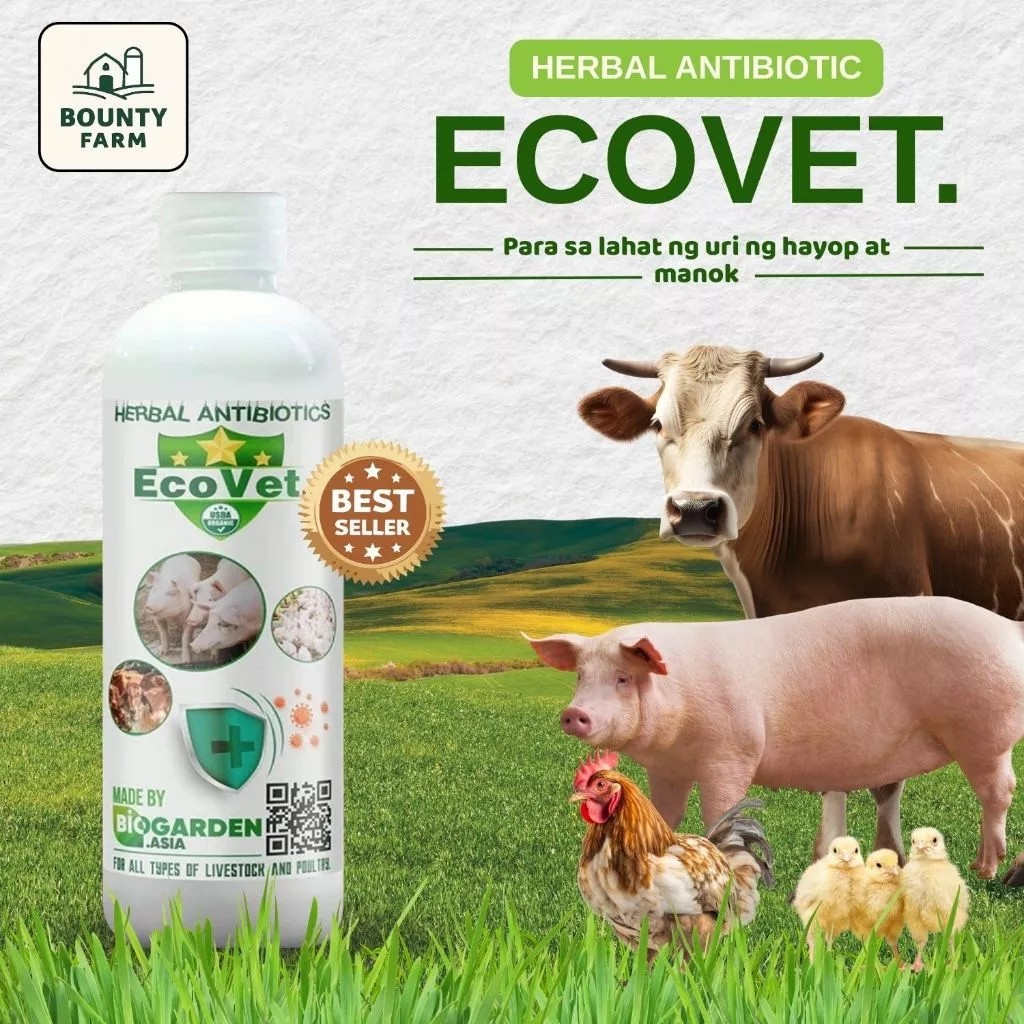 EcoVet 250g – Treats Diarrhea, Infections & Boosts Immunity for Cattle ...