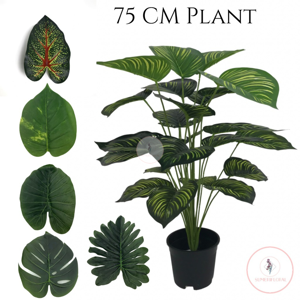 75CM ( 24pcs leaves) plants with pot / Pokok hiasan / Pokok mini ...